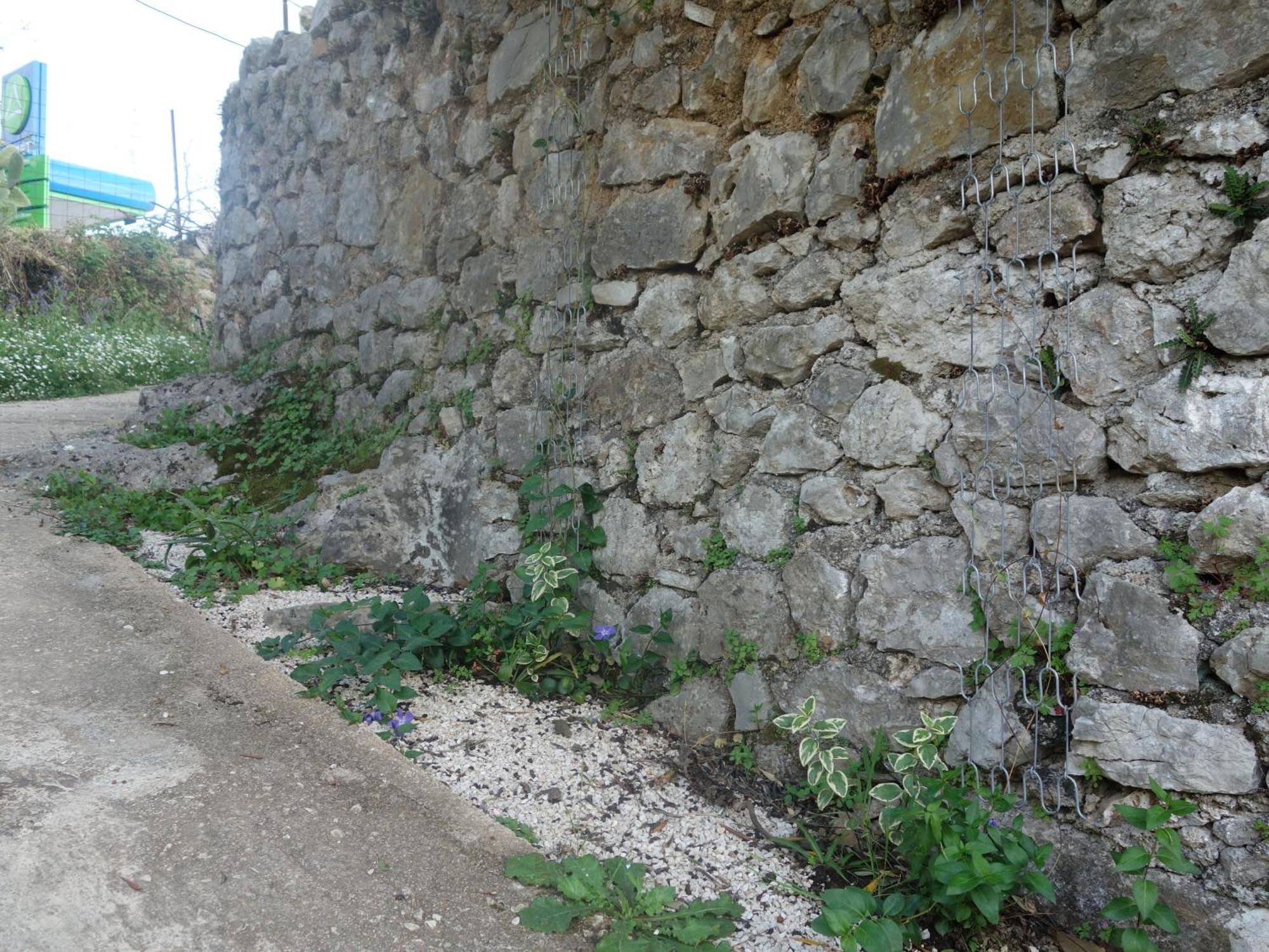 Near The Castle Of Maison d'hôtes